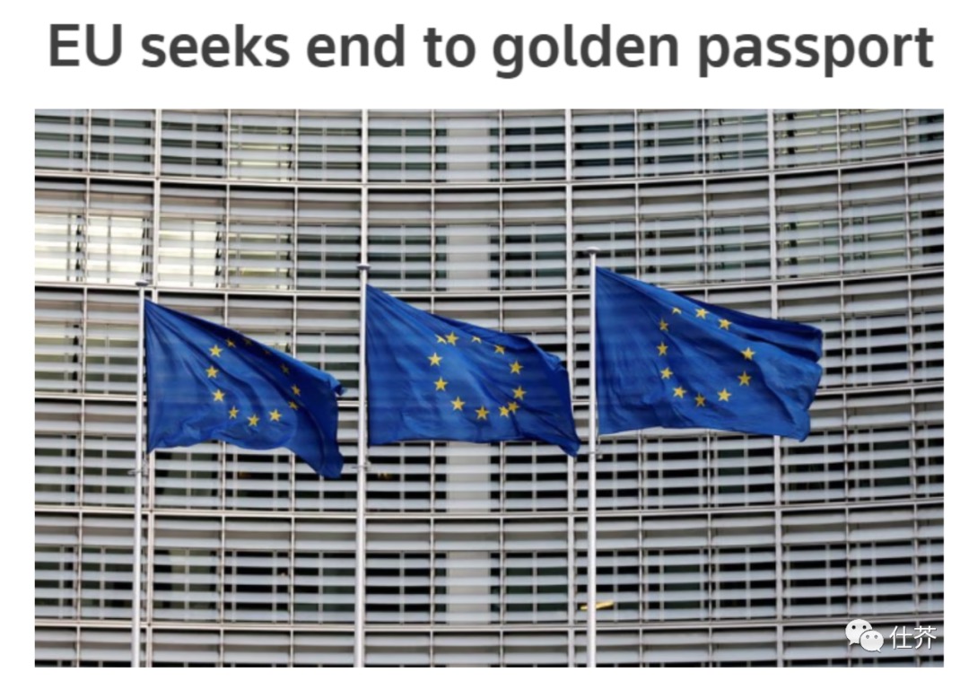 WechatIMG2065.jpeg